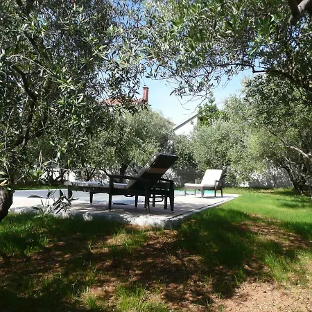 Niceta Zadar