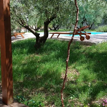 别墅 Niceta 扎达尔