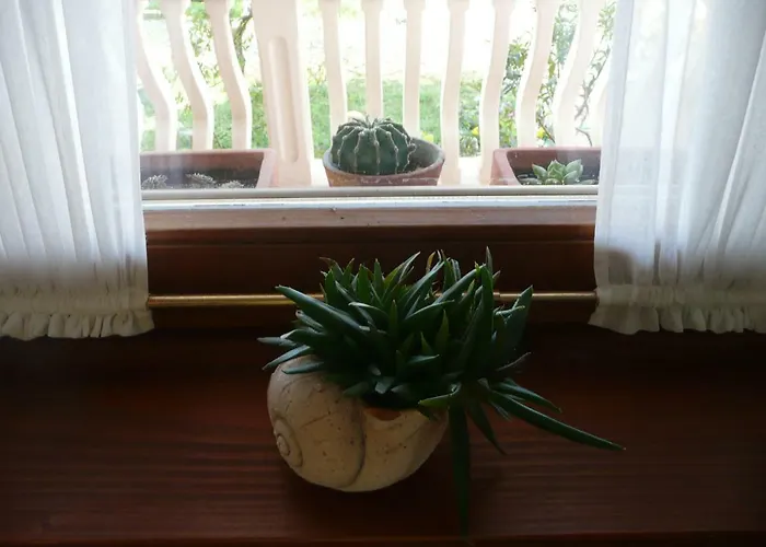 Niceta 别墅 扎达尔